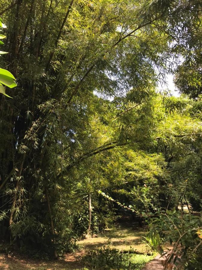 Вилла Casa A Beira Do Rio Jaguareguava Na Mata Atlantica Em Bertioga Sp Экстерьер фото