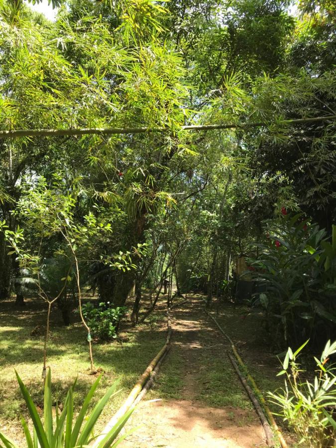Вилла Casa A Beira Do Rio Jaguareguava Na Mata Atlantica Em Bertioga Sp Экстерьер фото