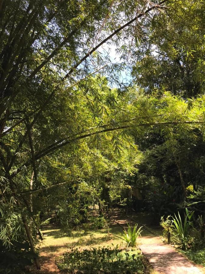 Вилла Casa A Beira Do Rio Jaguareguava Na Mata Atlantica Em Bertioga Sp Экстерьер фото